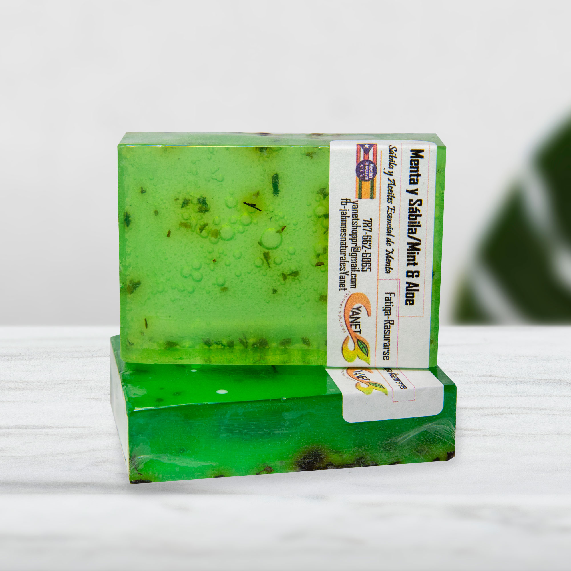 Aloe Vera & Mint Soap /Jabón de Sábila y Menta